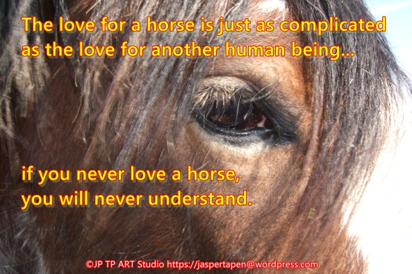 Love for horses